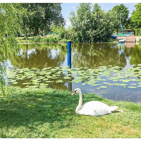 Awesome In W/ 2 Bedrooms Holiday home Balatonmariafurdo